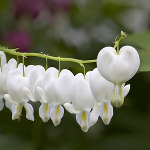 2025-05-25 12-16-22 (B,R1,S10).jpeg