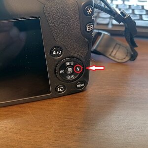 R100 Flash Button.jpg