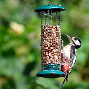 0W8A3934 copy12 copy.jpg