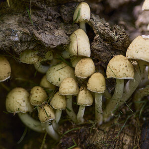 2025-06-18 16-08-20 (B,R11,S5).jpg