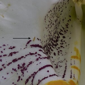 2025-06-21 11-00-44 (B,R11,S5).jpg