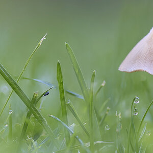 2025-06-23 07-04-13 (B,R11,S5).jpg