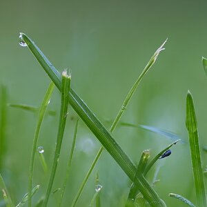 2025-06-23 07-04-13 (B,R11,S5).jpg