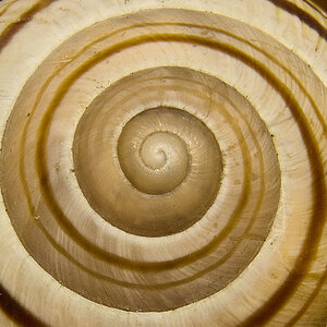 2025-07-13 13-29-39 (B,R16,S5).jpg