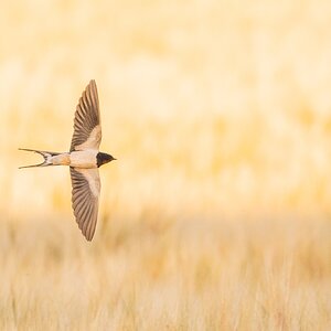 20250701 MM 0302.jpeg