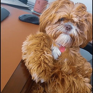 Kickin in the office.jpg