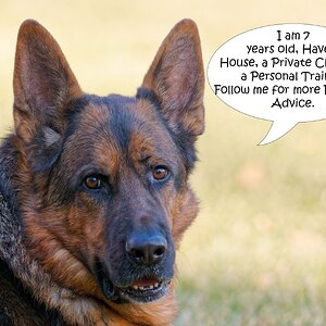 Fritz talk Financial.jpg