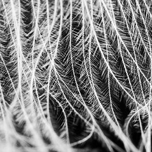 A1067CUPOTY_1 MSTR.jpg