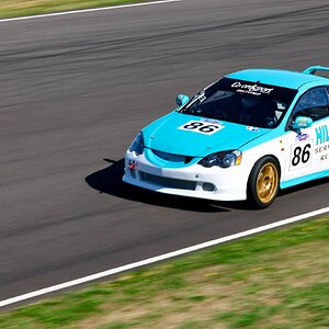 CC 02-08-2025 0381.jpg