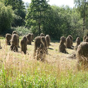 1000018405.jpg Haystacks