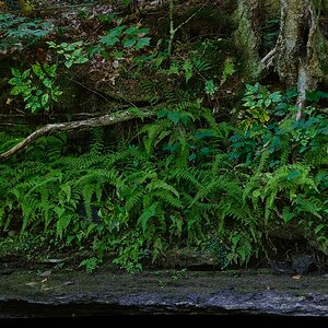 031A0217_Panorama 1.jpg