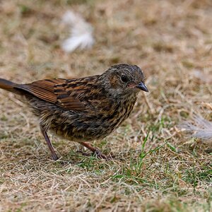 Banham Zoo 24-08-2025 0005.jpg