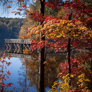 Fall at the Lake.jpg