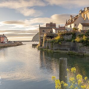 staithes-7.jpg