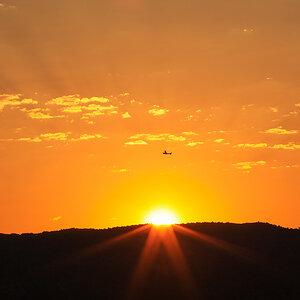 Morning Flight, Last Sunrise of Spring