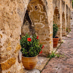 San Jose Mission, San Antonio Texas