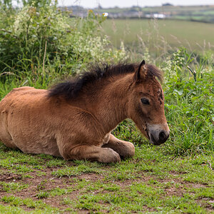 Wembury Hols-June_July-2021_KR5--471.jpg