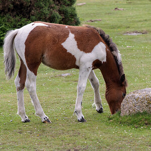 Wembury Hols-June_July-2021_KR5-592.jpg