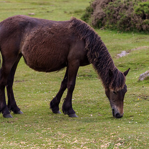 Wembury Hols-June_July-2021_KR5-593.jpg