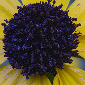 2025-08-29 09-23-50 (B,R16,S5).jpg