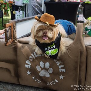2025-050-051 Kingwood Pickle Festival.jpg