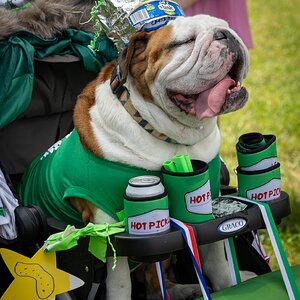 2025-050-056 Kingwood Pickle Festival.jpg