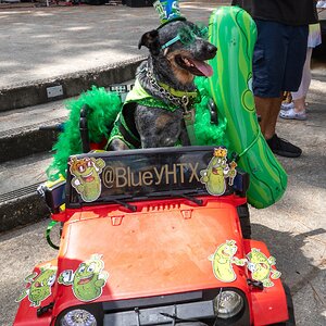 2025-050-084 Kingwood Pickle Festival.jpg