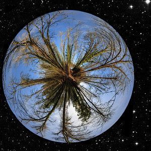 Landscape 2 copy-Edit.jpg