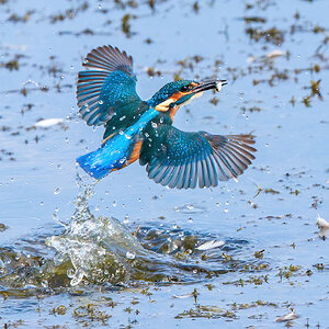 [mp] My Favourite.jpg