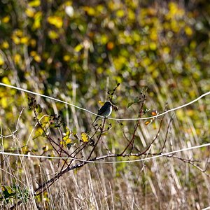 T 21-09-2025 0017.JPG