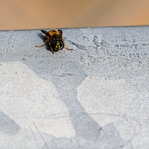 T 21-09-2025 0343.JPG