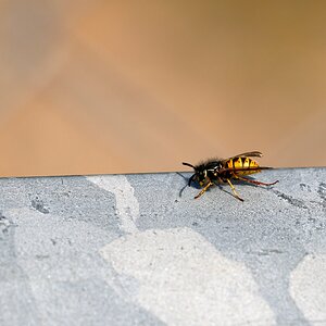 T 21-09-2025 0344.JPG