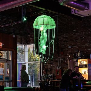 Sans Souci Picks-1.jpg