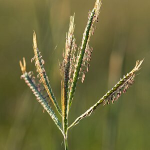 2025-054-008 Kelby Photo Walk.jpg