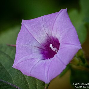 2025-054-032 Kelby Photo Walk.jpg