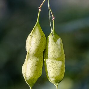 2025-054-033 Kelby Photo Walk.jpg