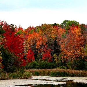 Fall in the Maritimes.jpg