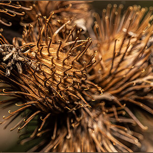 59856_Mother Nature - closing shop.jpg