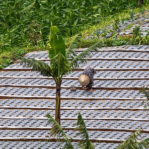 Central Java, Indonesia