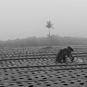 Central Java, Indonesia
