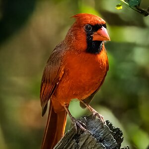 2025-056-032 Lake Livingston State Park trip-2.jpg