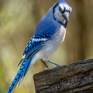 2025-056-074 Lake Livingston State Park trip-2.jpg