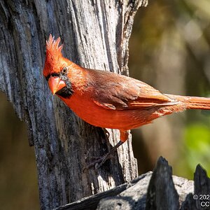 2025-056-076 Lake Livingston State Park trip-2.jpg