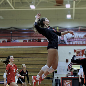 BedfordVB_LLD2652.jpg