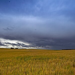 1E2A6819_openWithNov 25.jpg