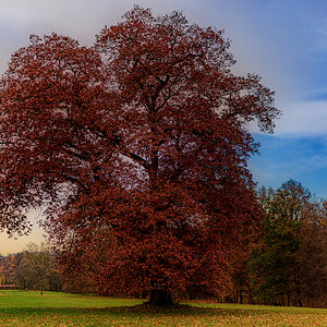 025b2 2025-11-08 Orlík.jpeg