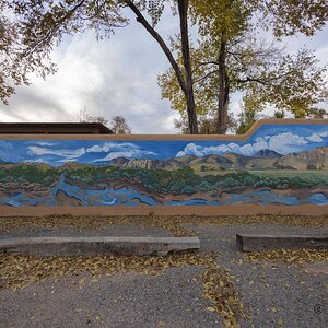 North 14 with 14mm-cytog-November 08, 2025-0002.jpg