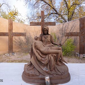 North 14 with 14mm-cytog-November 08, 2025-0011.jpg