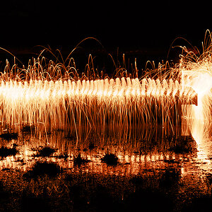 RF Millipede on the Mire.jpg