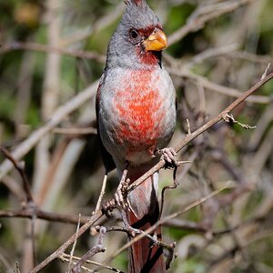 2025-061-061 Goliad trip.jpg